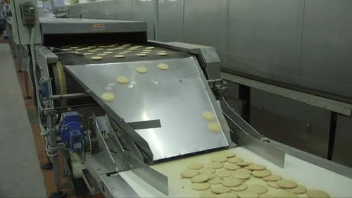 Cookies Moving on Factory Conveyor Belt
