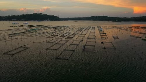 Aerial view of Rowo Jombor fishing structures, Indonesia.