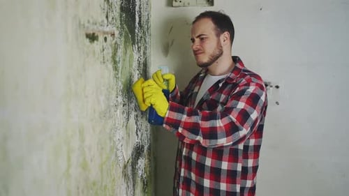 Dissatisfied Man Applying Chemical Spray Means to Remove Mold Killing on the Wall of the House
