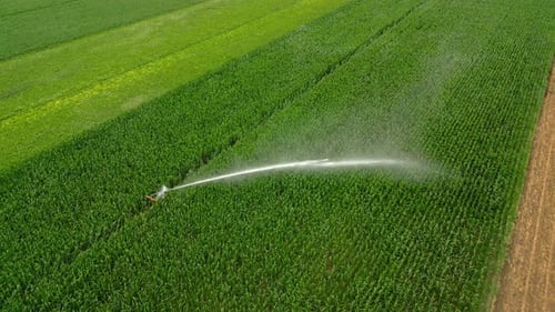 Spraying Water On The Green Vegetations In The Field Using Irrigation Sprinkler. - aerial shot