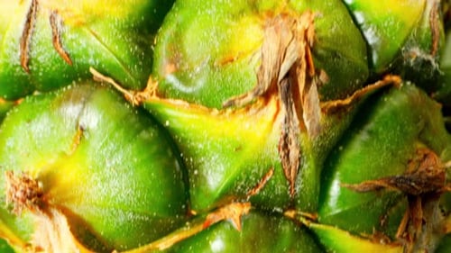 Macro video featuring a whole pineapple, shot with a probe lens.