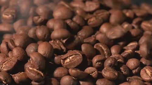 Zeitlupe fallender gerösteter Kaffeebohnen. Bio-Kaffeesamen.
