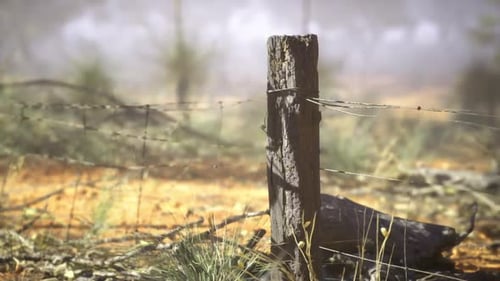 Timeworn Fence Post with Barbed Wire Across Dry Landscape in Gentle Morning Fog