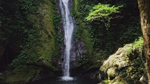 Sonnenbeschienener Wasserfall im Wald
