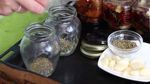 Preparing Jars of Tomatoes and Garlic with Herbs