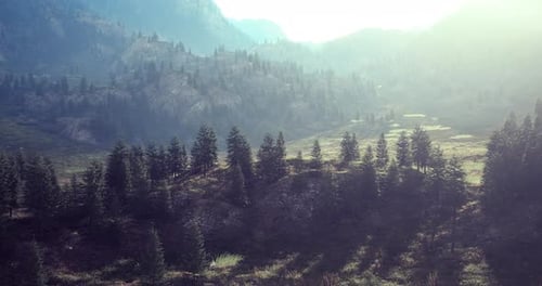 Morning Light Gently Brightens the Calm Spring Mountain Scene