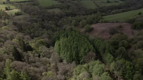 Aerial footage flying over dense forest, green fields and rolling hills.