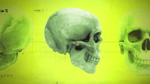 Medical Chart Skulls 01