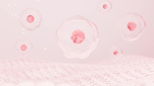 Cells floating on the skin, skin care and treatment, biology and medicine concept, 3d rendering.