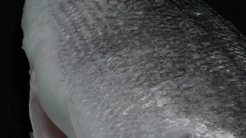 Close Up of Raw Fish Scales