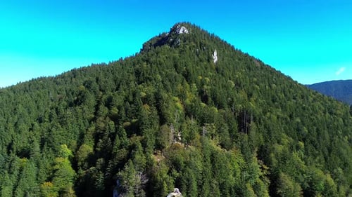 aerial flight over green forest on a mountain side, 4k