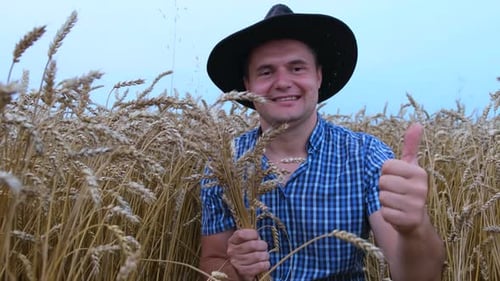 Man Holds Wheat in Rural Wheat Field