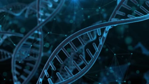 Spinning 3d wireframe DNA motion graphics with plain black background