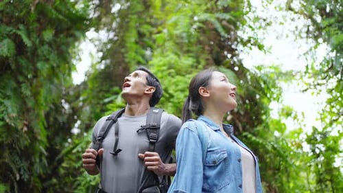 4K Young Asian couple hiking together in tropical forest.