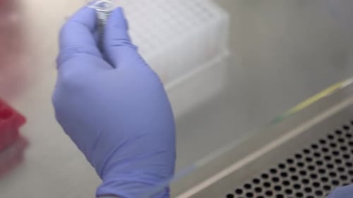 Gloved Hand Extracting Liquid Sample Using Pipette