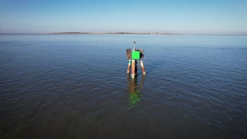 Boya en la bahía Zumbido dando vueltas y ascendiendo en la hora dorada de la bahía de Delaware