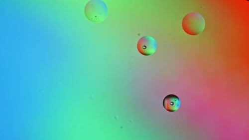 Abstract Oil Drops in Water with Vibrant Rainbow Colors