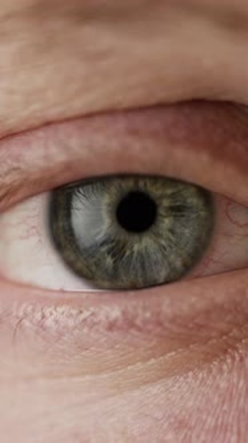 Macro Close-Up Of Blinking Eye With Veins