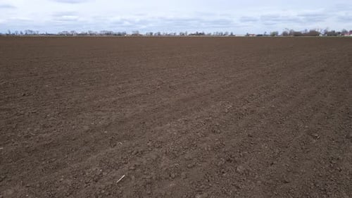 Fertility Empty Pure Soil Without Grows Plants in Agricultural Field After Ploughing Cultivation