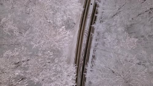 Top down aerial of road through forest covered in snow