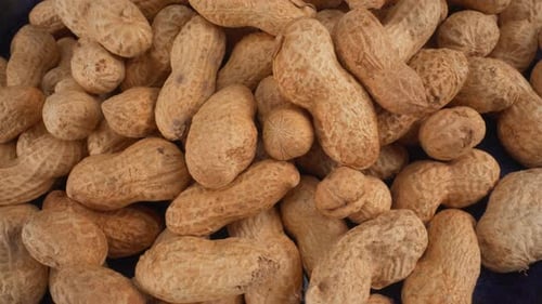Pile of Peanuts in Shell Close Up