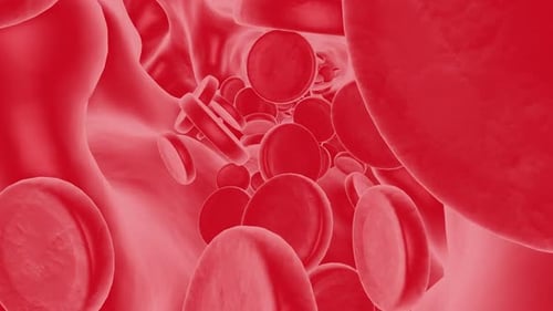 Blood Cells Flowing