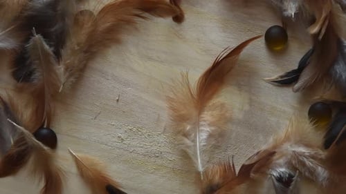 Top view of a minimal background with soft and fluffy white, brown and black feathers falling, near