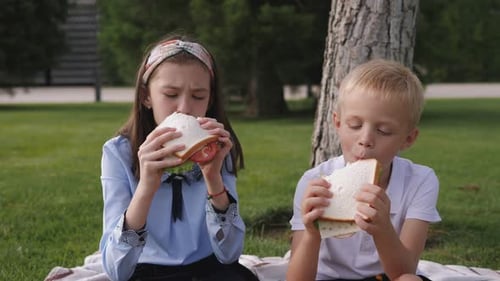 Classmates Eat Sandwiches Together in the School Yard Sitting on the Green Grass