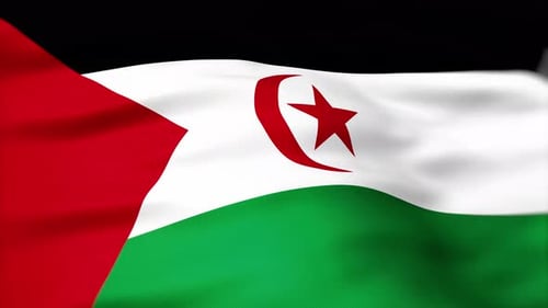 Waving Flag of the Sahrawi Arab Democratic Republic