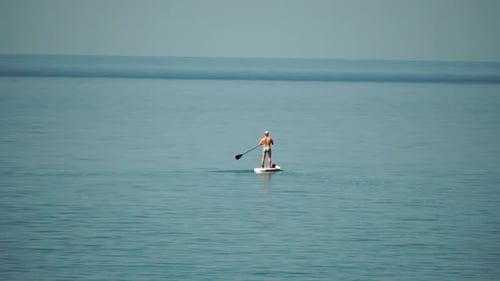 Sea Man Sup Athlete Man Floating in Calm Sea and Paddleboarding at Summer Sunset Healthy Strong Male