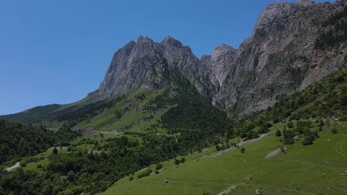 Beautiful Mountain Slopes Covered with Forest Alpine Meadows and Grey Mountain Peaks on a Sunny Day
