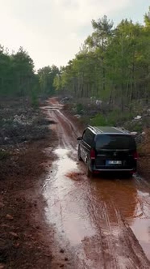 Vertical Video Majestic Aerial View Luxurious Black Car and the Mystical Green Forest