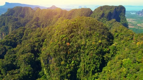 Aerial View of Lush Tropical Mountain Landscape