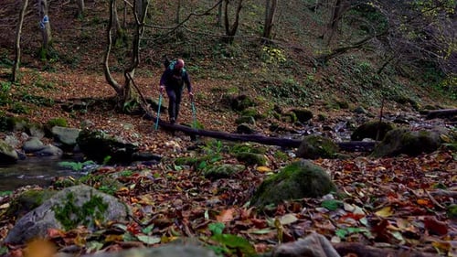 Active man crossing the river, hiking through the forest path