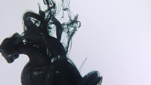 Black Ink Slowly Spreading in Clear Water