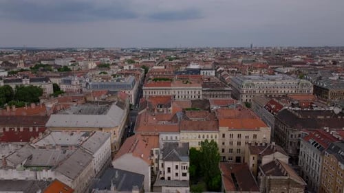 Stürmer fliegen an bewölkten Tagen über Ziegeldächern Altbauten im Stadtbild eines Stadtteils