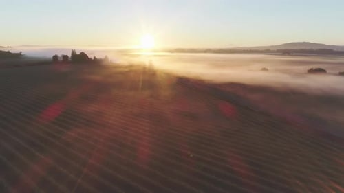 Aerial View of Beautiful Farm Land at Sunrise in Oregon, USA