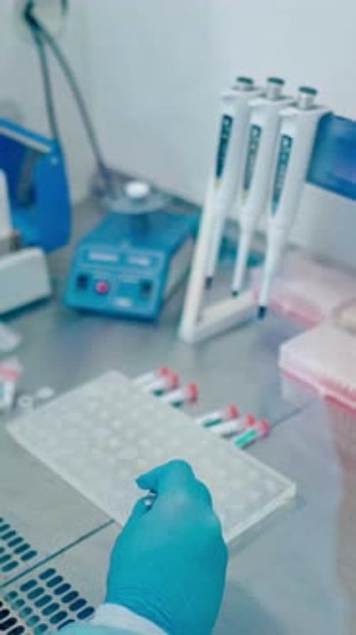 Researcher working in clinic. Laboratory worker places for blood samples on rack. Vertical video