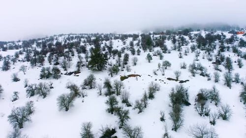 Winter-Luftaufnahme