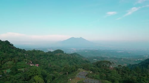 Tropical Forest Park