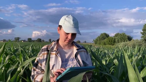 Female Farmer Working at Field