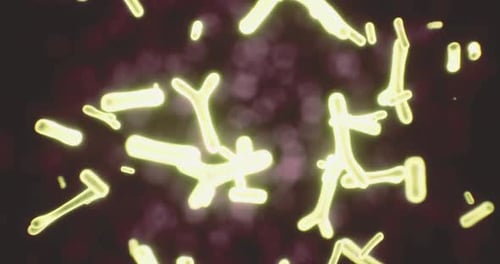 Glowing Fluid Organic Shapes Motion Background