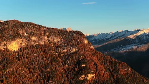 Afternoon Light Over Mountain Slope With Autumn Trees Against Snowy Peaks In Fiemme Valley,