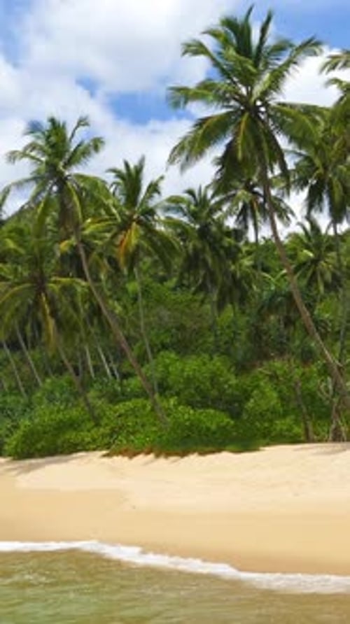 Sea waves on tropical beach and palms