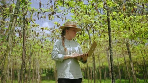 Female Agronomist with Laptop Examines Vegetable Harvest on Farm Young Woman Farmer Checking Green