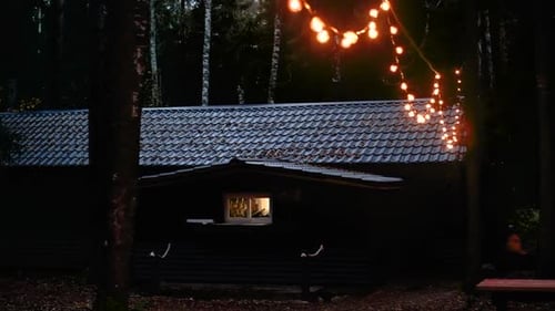Cozy cabin illuminated by string lights in a serene forest setting at dusk