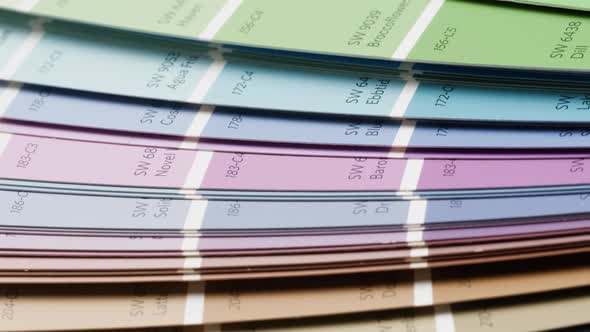 Color Pallet Choosing the Color By Designer Furniture Real Estate or ...