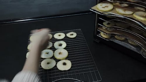 Close-up Home Fruit Dehydrator: Arranging Fresh Apple Slices in the kitchen