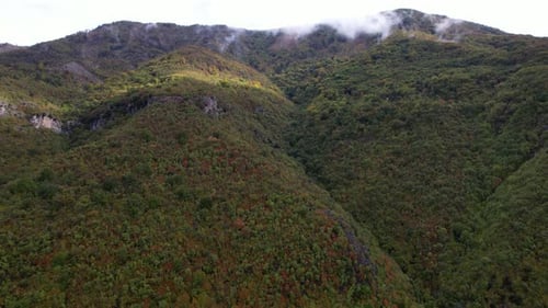 Peaceful mountain landscape at Autumn with colorful foliage of wild forest