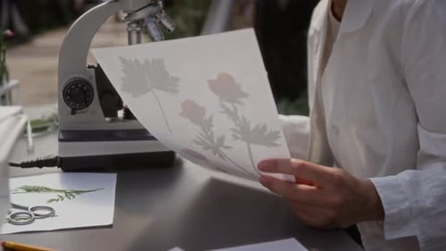 Botanist Examining Pressed Flowers in a Lab